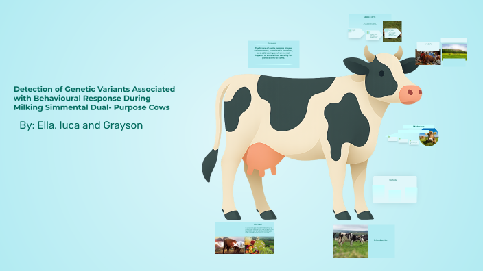 The Central Role of Cows in Agriculture by ella heiman on Prezi
