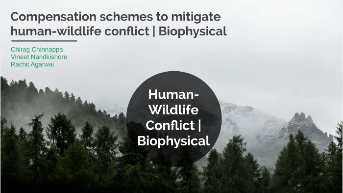 Mitigation Of HUman Wildlife Conflict By Rachit Agarwal On Prezi