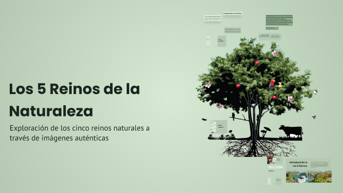 Los 5 Reinos de la Naturaleza by MONICA TORO GARAY on Prezi
