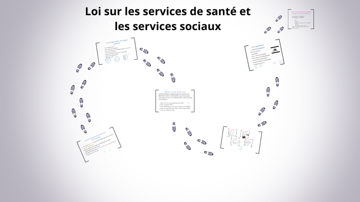 LSSSS Le réseau de la santé by Céline Gagnon