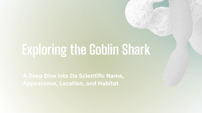 Exploring the Goblin Shark by Stacey Winniestaffer on Prezi