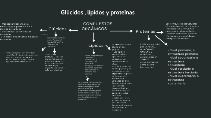 Glúcidos, Lípidos Y Proteínas By Diego Jose Cabezas Obando On Prezi