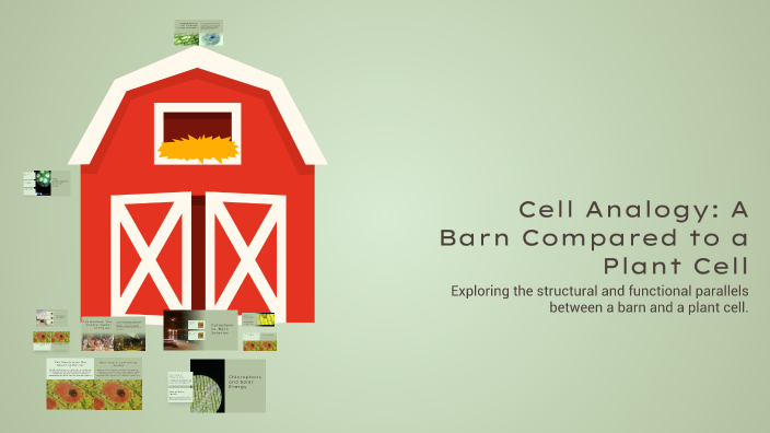 Cell Analogy: A Barn Compared to a Plant Cell by Hayden Sparks on Prezi