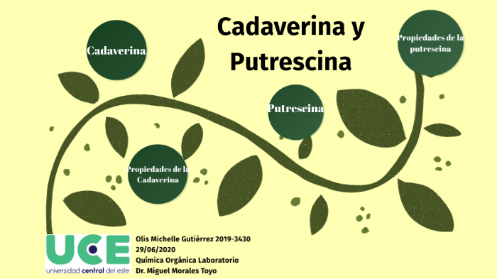 Cadaverina y Prutrescina by Olis Michelle Gutierrez on Prezi