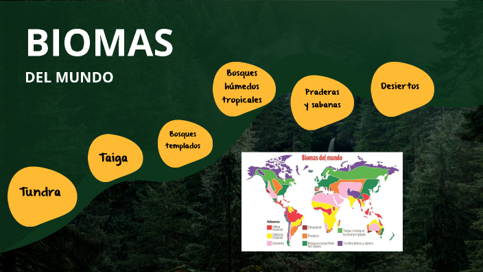 Biomas del mundo by Leiddy Elizabeth Chuquimarca Espinoza on Prezi