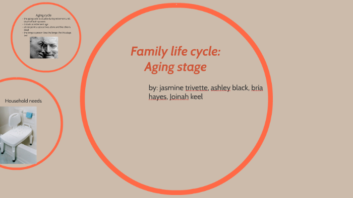 family-life-cycle-by-ashley-mckee