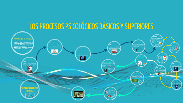 LOS PROCESOS PSICOLÓGICOS BÁSICOS Y SUPERIORES By Aaron Huerta On Prezi