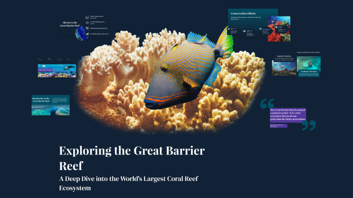 Exploring the Great Barrier Reef by brock lockyer on Prezi