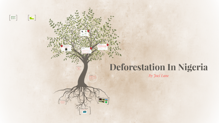 literature review on deforestation in nigeria