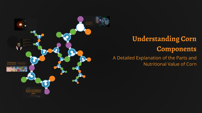 Understanding Corn Components by ةةه اتت56 on Prezi