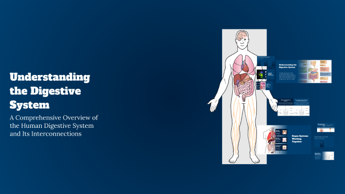 Understanding the Digestive System by Marvina Gress on Prezi