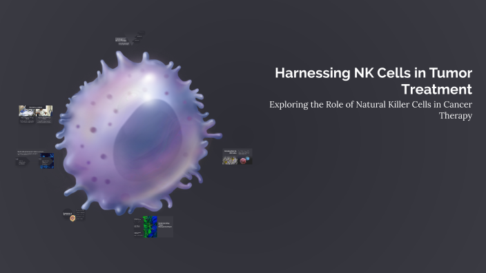 Harnessing NK Cells in Tumor Treatment by Rachel Manselle on Prezi
