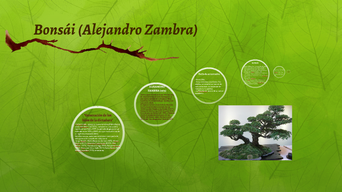 Bonsi (Alejandro Zambra) by rosa garrido on Prezi