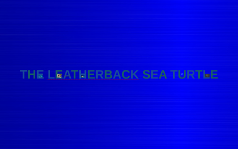 THE LEATHERBACK SEA TURTLE by Georgie Scott on Prezi