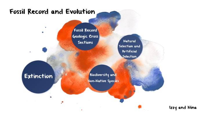 Fossil Record and Evolution by Kathryn Gartrell on Prezi