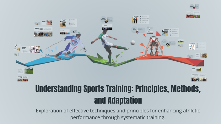 Understanding Sports Training: Principles, Methods, and Adaptation by ...