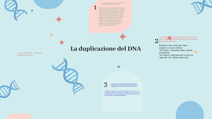 La Duplicazione del DNA by domenico mattia miranda on Prezi