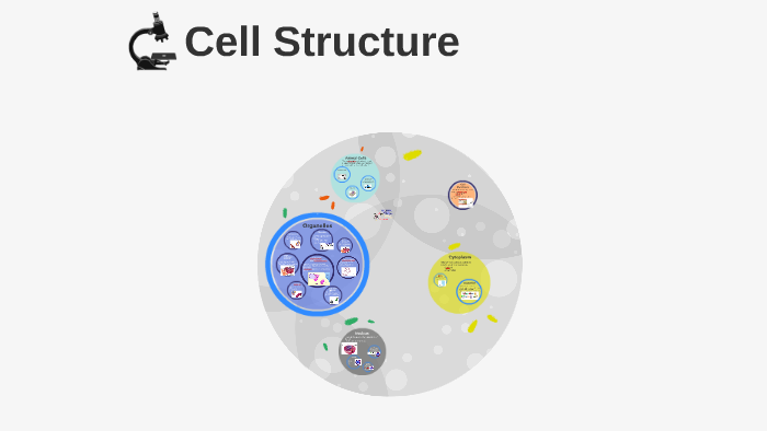 Cell Structure by Rachael Love on Prezi