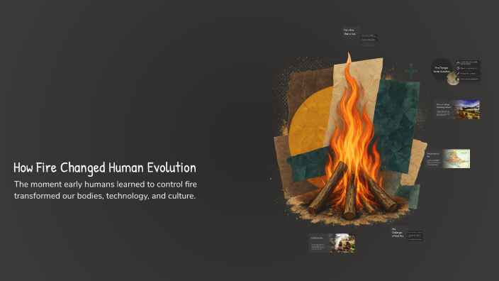How Fire Changed Human Evolution by Lily Gueck on Prezi