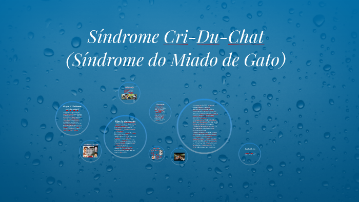 Síndrome Cri-Du-Chat (Síndrome do Miado de Gato) by gustavo costa on Prezi