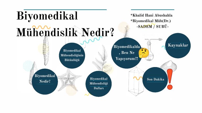 Biyomedikal Mühendislik Nedir By Khalid Hani Abushahla On Prezi