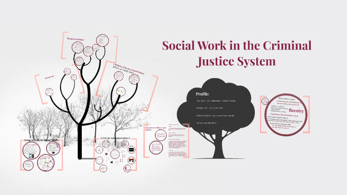 Social Work In The Criminal Justice System By Socialwork Group On Prezi