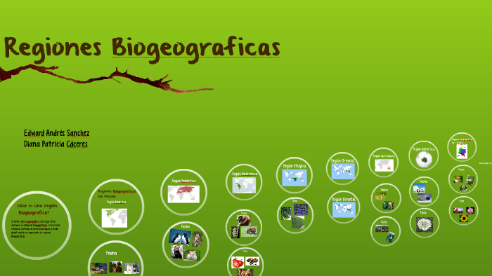 REGIONES BIOGEOGRAFICAS by on Prezi