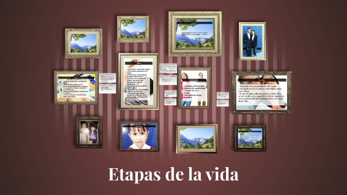 Etapas de la vida by Neidy Manzanares on Prezi