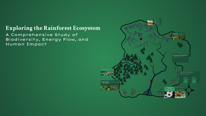 Exploring the Rainforest Ecosystem by robert lewis on Prezi