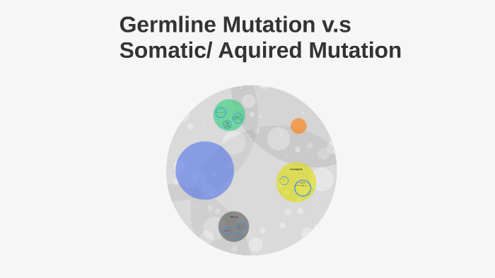 Germline Vs Somaticaquired Mutations By Alexyss Bullock 3034