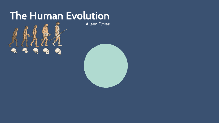 Human Evolution by Aileen Flores on Prezi