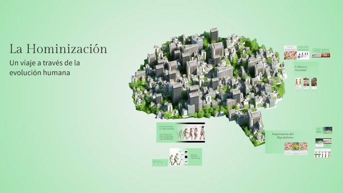La Hominización by Mohamed Rida Tadli on Prezi