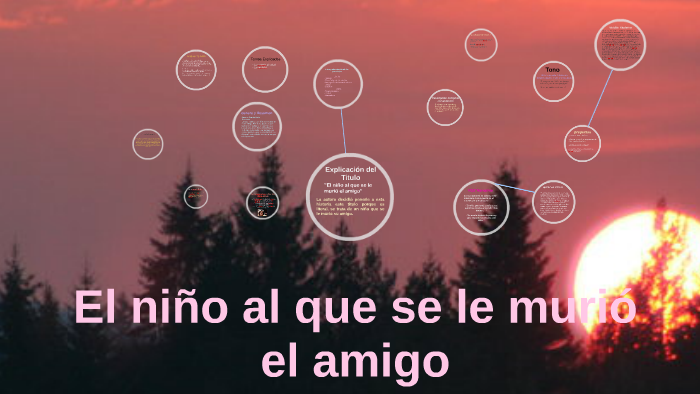 El Niño Al Que Se Le Murió El Amigo - Ciudad Seva