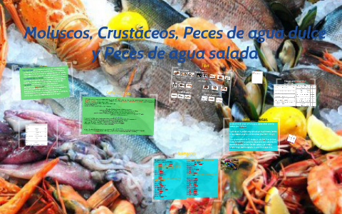 Moluscos, Crustáceos, Peces de agua dulce y Peces de agua sa by Ana  Cristina Gonzalez Iglesias on Prezi Next