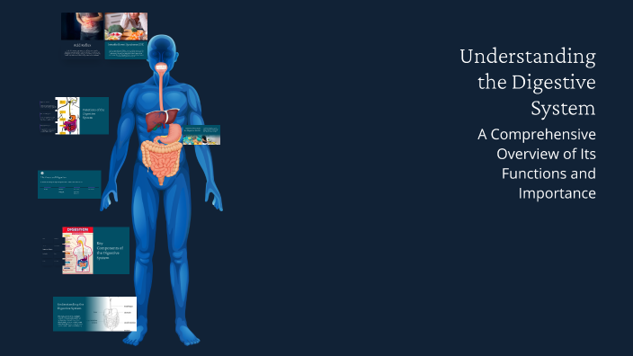 Understanding the Digestive System by Abdulla Ghallab on Prezi