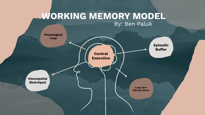 working memory model by Benjamin Paluk on Prezi