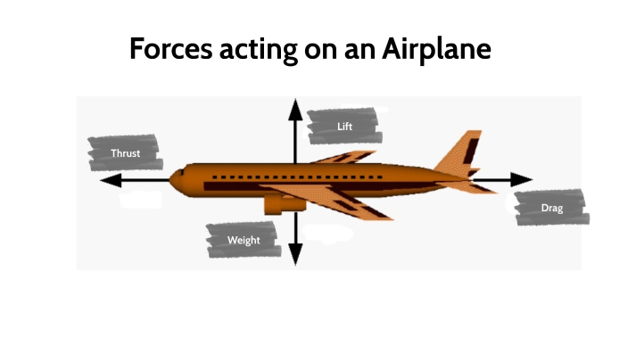 Acting Forces On A Plane By Ray-lynn Quantz