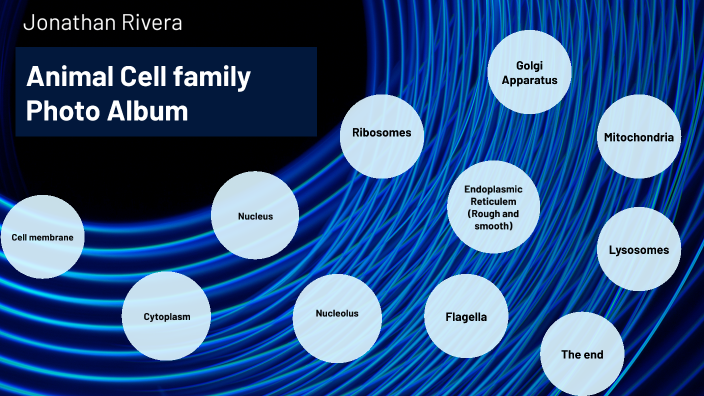 cell-family-photo-album-project-by-jonathan-rivera