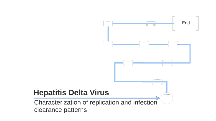 Analysis of HDV replication and infection patterns by Cristiana Banila ...