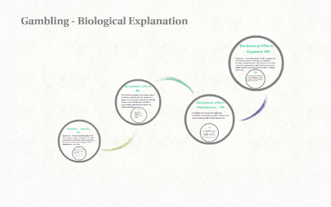 Gambling - Biological Explanation By Lydia Smart On Prezi