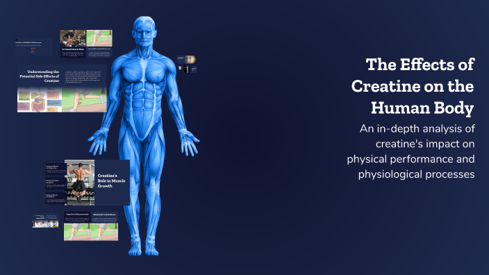 The Effects of Creatine on the Human Body by Rayhan Nofri on Prezi