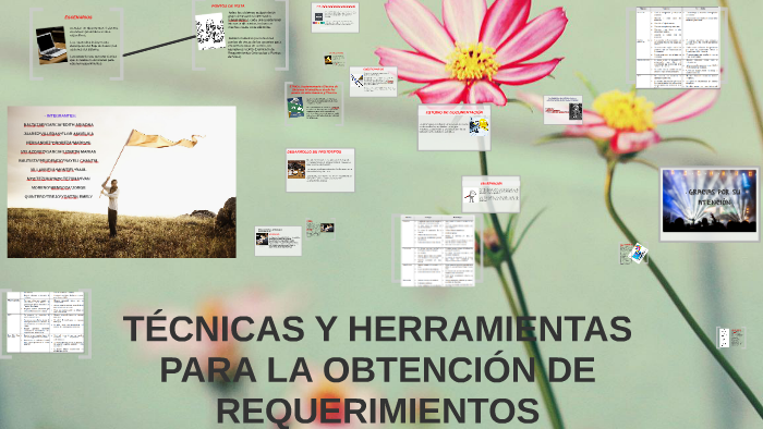 TÉCNICAS Y HERRAMIENTAS PARA LA OBTENCIÓN DE REQUERIMIENTOS by Edith