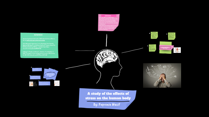 A study of the effects of stress on the human body by Fapronia Wasif on ...