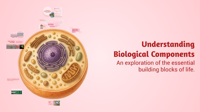 Understanding Biological Components by Likhitha K on Prezi