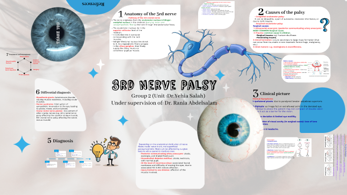 3rd Nerve Palsy by Basma Elzareef on Prezi