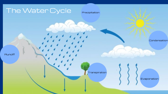 water cycle prezi presentation