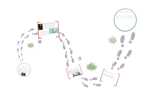 What is sir francis drake famous for picture