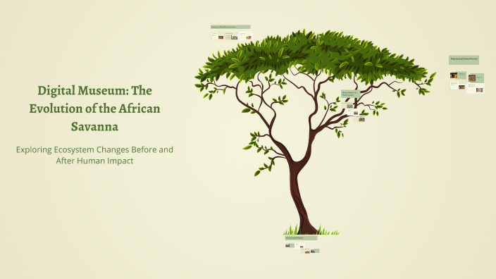 Digital Museum: The Evolution of the African Savanna by Lara Fyab on Prezi