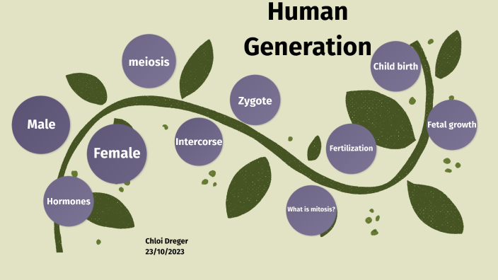 Human Generation Tagging human generation by Chloi Dreger on Prezi