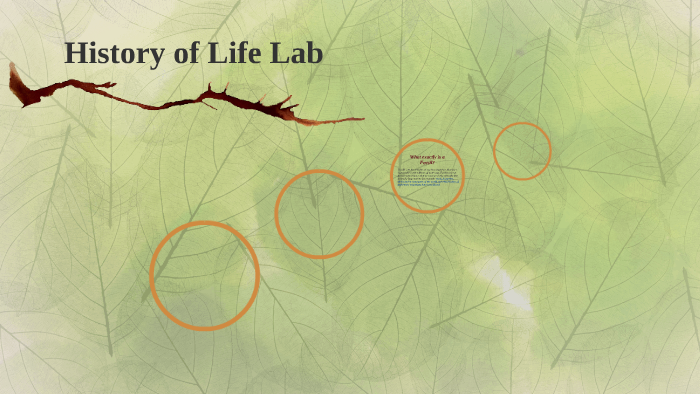 History Of Life Lab by Rashid Salim on Prezi